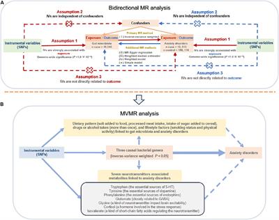 Improving precision management of anxiety disorders: a Mendelian randomization study targeting specific gut microbiota and associated metabolites